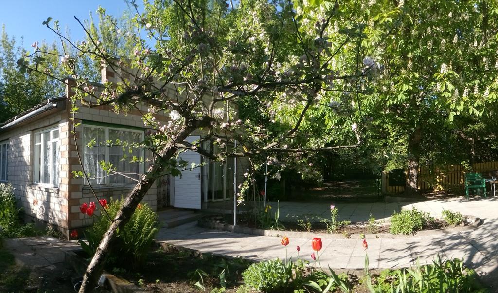 Koidula Holiday Home Нарва-Йыэсуу Экстерьер фото