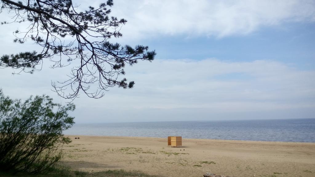 Koidula Holiday Home Нарва-Йыэсуу Экстерьер фото